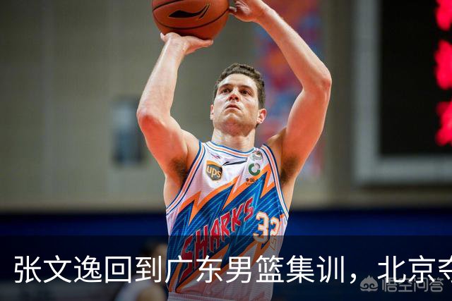 张文逸回到广东男篮集训，北京夺冠功勋确定退役，上海欲续约弗格