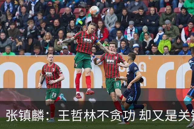 张镇麟：王哲林不贪功 却又是关键时刻能站出来的人 队长当之无愧